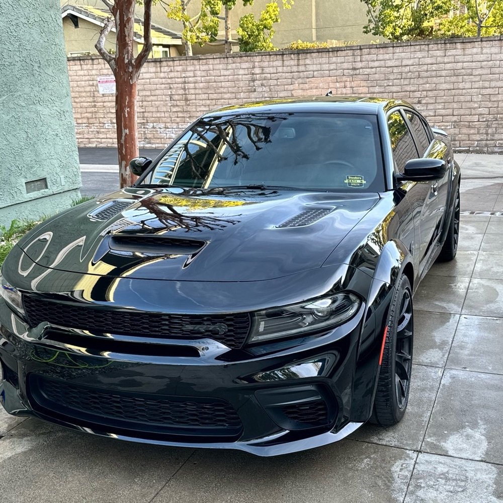 Meet your Posher, Dorian